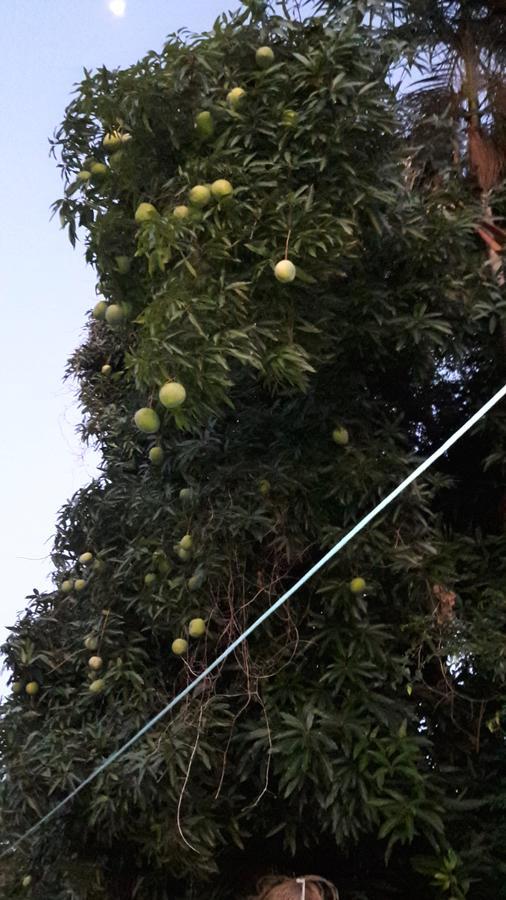 Pousada Catarina مارينجا المظهر الخارجي الصورة